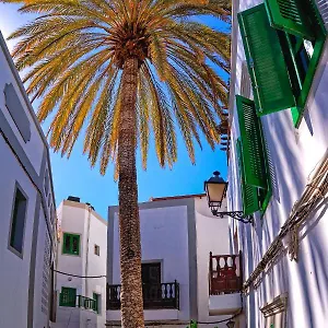 https://the-palm-house.in-canary-islands.com
